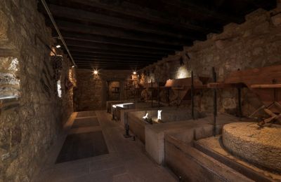 O vodenicama na Krki